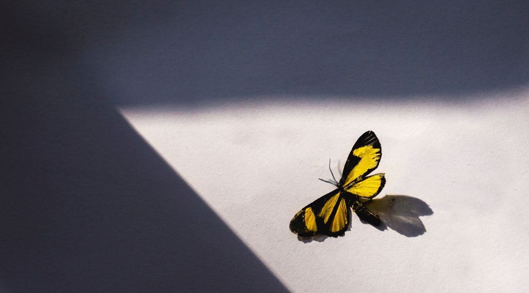 Why Digital Transformation Fails (And How to Make It Work)