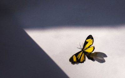 Why Digital Transformation Fails (And How to Make It Work)